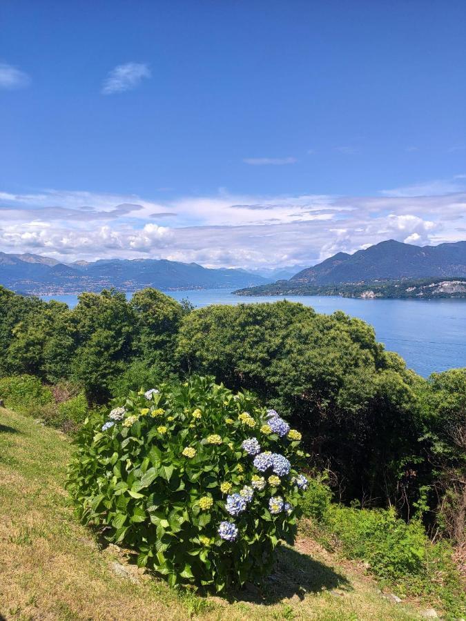 Cloud 9 - Apartment With Stunning Lake View Belgirate Exterior foto
